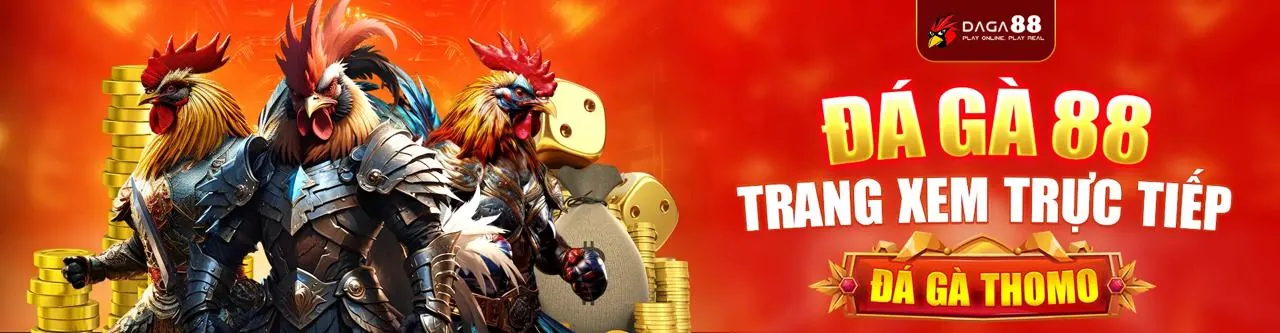 Đối tác q68bet win