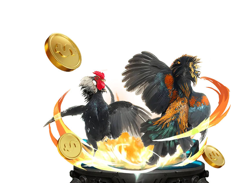 Tổng quan nền tảng q68bet win
